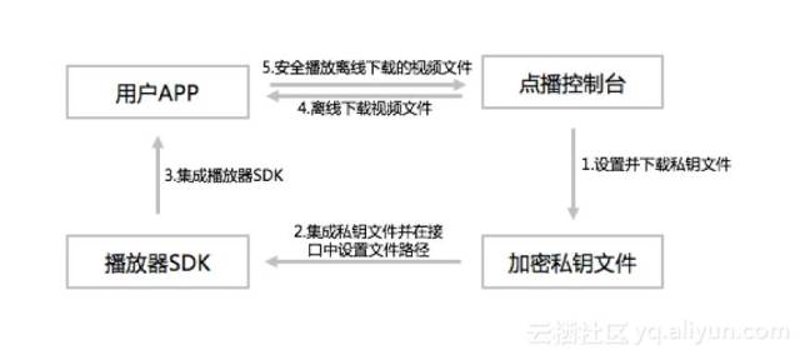 如何高效使用BroadVideo技术提升视频制作水平？